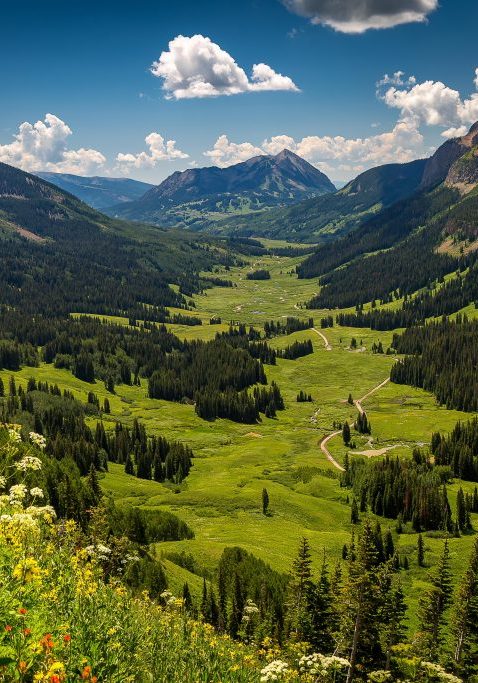 Beautiful green Gothic Valley above Crested Butte Colorado